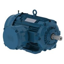 Motor Trifásico 6P 220/380V 25Cv 1200Rpm 180M/L B3D Ir2 Exd W22Xdb 13269435 WEG