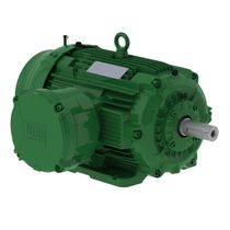 Motor Trifásico Bipolar 220/380V 40Cv 3600Rpm 200M/L B3D Ir3 Exd W22Xdb 13269866 WEG