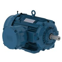 Motor Trifásico 8P 220/380V 15Cv 900Rpm 180M/L B3D Ir2 Exd W22Xdb 13269921 WEG