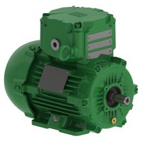 Motor 3F 2P 220/380V 1Cv 3600Rpm 71 B3T Ir3 Exd W22Xdb 13269927 WEG