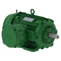 Motor Trifásico Bipolar 220/380V 20Cv 3600Rpm 160M/L B3D Ir3 Exd W22Xdb 13269979 WEG