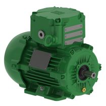 Motor Trifásico Tetrapolar 220/380V 0,5Cv 1800Rpm 71 B3T Ir3 Exd W22Xdb 13270001 WEG