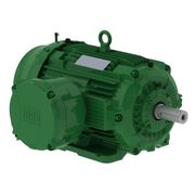 Motor Trifásico Tetrapolar 220/380V 25Cv 1800Rpm 160M/L B3D Ir3 Exd W22Xdb 13270086 WEG