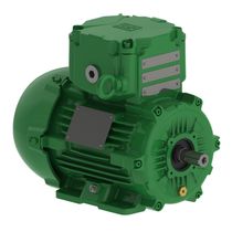 Motor Trifásico 8P 220/380V 0,33Cv 900Rpm 80 B3T Ir3 Exd W22Xdb 13270264 WEG