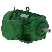 Motor Trifásico 8P 220/380V 10Cv 900Rpm 160M/L B3D Ir3 Exd W22Xdb 13270287 WEG