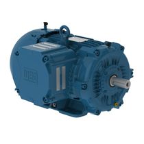 Motor Trifásico Tetrapolar 220/380V 15Cv 1800Rpm 132S/M B3D Ir3 Pes W22Xdb 13391333 WEG