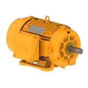 Motor Trifásico Bipolar 220/380V 20Cv 3600Rpm 160M B3D Ir3 Pes 12805578 WEG