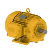 Motor Trifásico 6P 220/380V 2Cv 1200Rpm 100L B3D Ir3 Pes 12805855 WEG