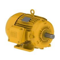 Motor Trifásico 8P 220/380V 2Cv 900Rpm 112M B3D Ir3 Pes 12807337 WEG