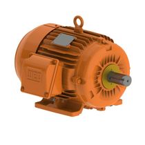 Motor Trifásico Bipolar 220/380V 1Cv 3600Rpm 80 B3D Ir3 Pes 12808116 WEG