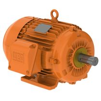 Motor Trifásico Tetrapolar 220/380V 4Cv 1800Rpm L100L B3D Ir3 Pes 12808117 WEG