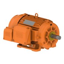 Motor Trifásico 8P 220/380V 10Cv 900Rpm 160L B3D Ir3 Pes 12808610 WEG