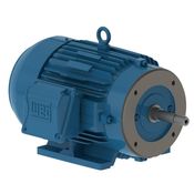 Motor Trifásico Bipolar 220/380V 5Cv 3600Rpm 100L B34D Ir3 C Pes 11989905 WEG