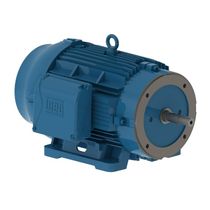 Motor Trifásico Bipolar 220/380V 25Cv 3600Rpm 160M B34D Ir3 C Pes 12813943 WEG