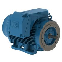 Motor Trifásico Tetrapolar 220/380V 75Cv 1800Rpm 225S/M B34D Ir3 C Pes 12814071 WEG