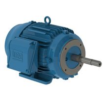 Motor Trifásico Tetrapolar 220/380V 30Cv 1800Rpm 180M B35D Ir3 C Pes 12814907 WEG