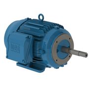 Motor Trifásico Tetrapolar 220/380V 50Cv 1800Rpm 200L B34D Ir3 C Pes 12814919 WEG