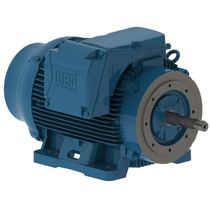 Motor Trifásico Tetrapolar 220/380V 60Cv 1800Rpm 225S/M B34D Ir3 C Pes 12814921 WEG