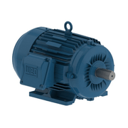 Motor Trifásico Tetrapolar 220/440V 25Cv 160L B3D Ir3 11501685 WEG