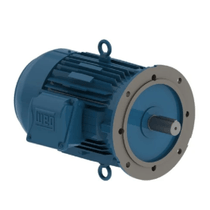 Motor Trifásico Bipolar 220/380V 7,5Cv 112M B14D Fs 12219273 WEG