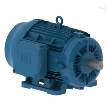 Motor Trifásico Bipolar 220/380V 6Cv 3600Rpm 112M B14D Ir3 C-Din 12219275 WEG
