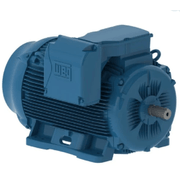 Motor Trifásico Tetrapolar 220/380V 60Cv 1800Rpm 225S/M B3D Ir3 Cl F 11213643 WEG