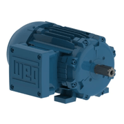 Motor Trifásico Tetrapolar 220/380V 4Cv 100L B35T Cl F 1041734271 WEG