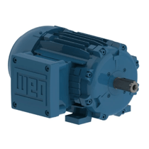 Motor Trifásico Tetrapolar 220/380V 4Cv 100L B35T Cl F 1041734271 WEG