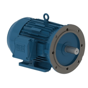 Motor Trifásico Tetrapolar 220/380V 2Cv 1800Rpm L90S B35D Ir3 Ff Cl F 12460454 WEG