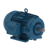 Motor Trifásico 6P 220/440V 3Cv 100L B3D Ir3 4038082019 WEG