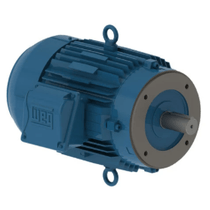 Motor Trifásico Tetrapolar 220/440V 1Cv 80 B3D Ir3 13010107 WEG