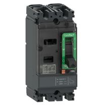 Disjuntor Caixa Moldada Bipolar Térmico/Magnético Fixos 525VCA/500Vcc 63A 10KA Compact C10F2Tm063 Schneider