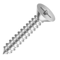 Parafuso Auto Atarraxante Chata 6,0 mm 65,0 mm Parcial Galvanizado Eletrolítico Para Bucha S10 - 6016 - FISCHER