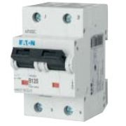 Disjuntor Mini Bipolar 63A 230/400V Curva C 25Ka MMCTC632 Eaton