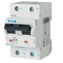 Disjuntor Mini Bipolar 63A 400VCA D 25KA Mmc Mmctd63/2 Eaton