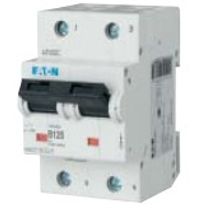 Disjuntor Mini Bipolar 25A 250VCC C 10KA Mmc Mmcmdcc25/2 Eaton