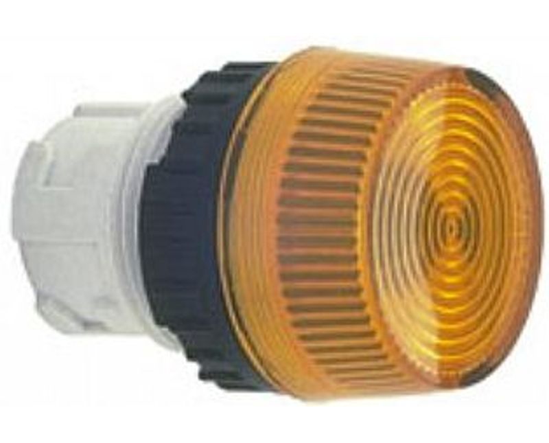 45841