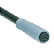 Conector Sensor F Reto 6 Polos M8 2M CABOAK6PM8RG2MGY1XA4 Ace Schmersal