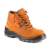 Botina Nobuck Cadarço Biqueira Plástico Castor 44 4041Hxpn4400Lg Fujiwara
