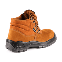 Botina Nobuck Cadarço Biqueira Plástico Castor 44 4041Hxpn4400Lg Fujiwara