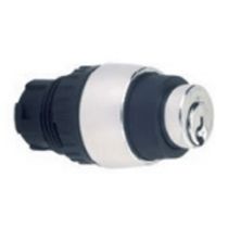 Comutador Chave Yale 2 Posições Preto 22Mm 60G YPP260DRTCSEG15 Ace Schmersal