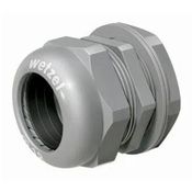 Prensa Cabo Alumínio Bsp 1.1/4" 28,0 A 31,0 Mm - PC25E31114CZ - WETZEL