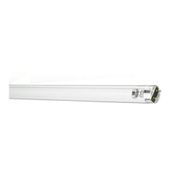 Lâmpada Fluorescente Uv Germicida T8 G13 30W 102V TUV30W1SL25 Philips
