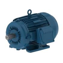 Motor Trifásico 8 Pólos 220/380V 0,75CV 90S/L B3D IR3 W22XDB 13270266 WEG