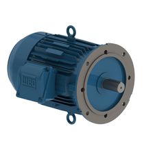 Motor Elétrico Trifásico 4 Pólos 220/380V 0,25CV 1800Rpm 63 B5D IR3 W22 WEG