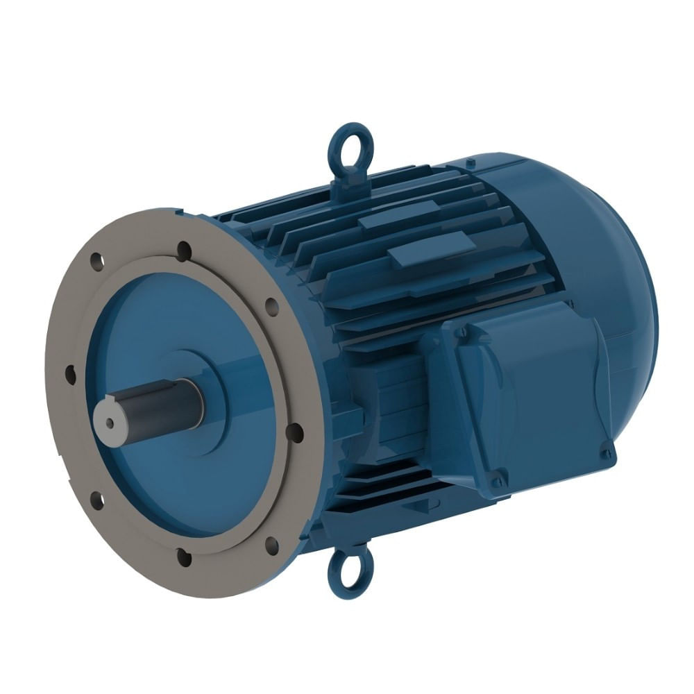 Motor Elétrico Trifásico 4 Pólos 220/380V 0,25CV 1800Rpm 63 B5D IR3 W22 ...