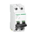 Disjuntor Mini Bipolar 16A 500Vcc C 6KA Acti 9 C60HDc A9N61531 Schneider