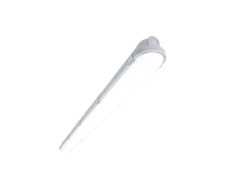 WT198C-2