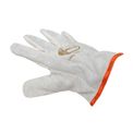 Procipa-