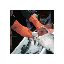 Luva Latex Laranja Harpon 321 Tamanho 10/XG Mapa Mucambo